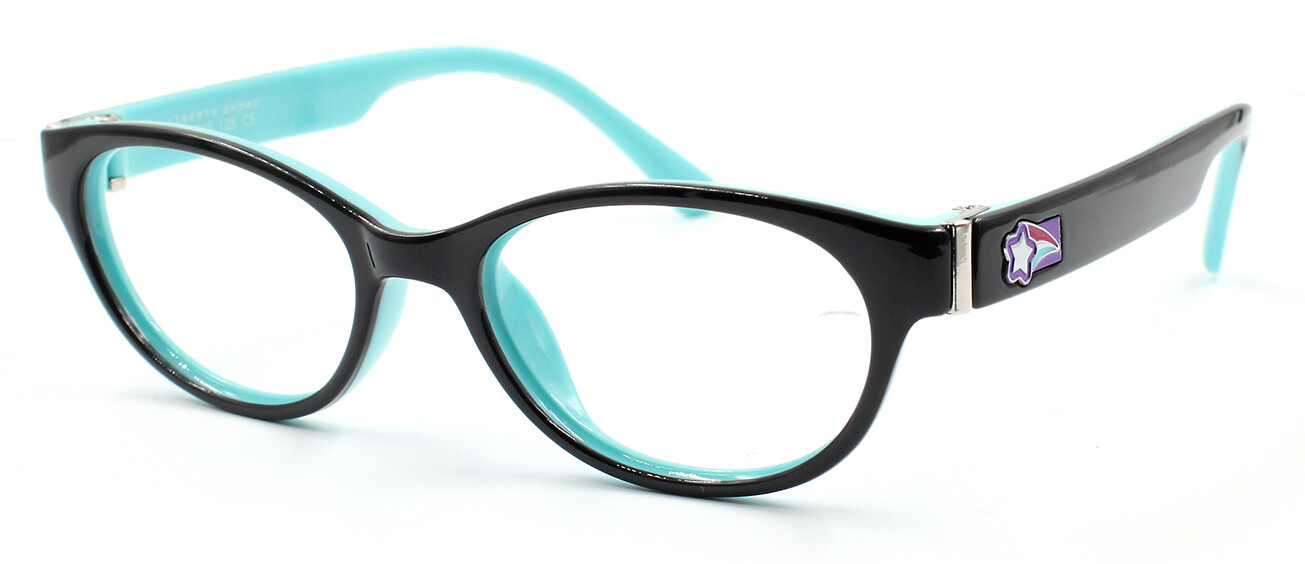 REC SPECS - Z8-Y60 SHINY BLACK TEAL #222