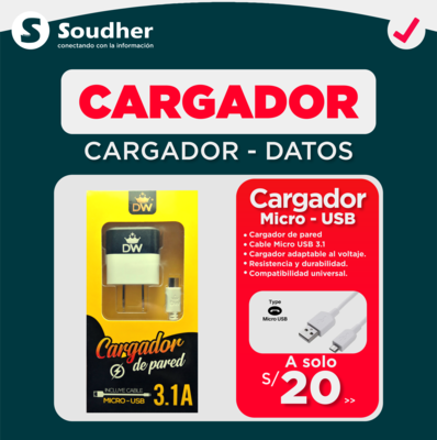 Cargador MicroUSB