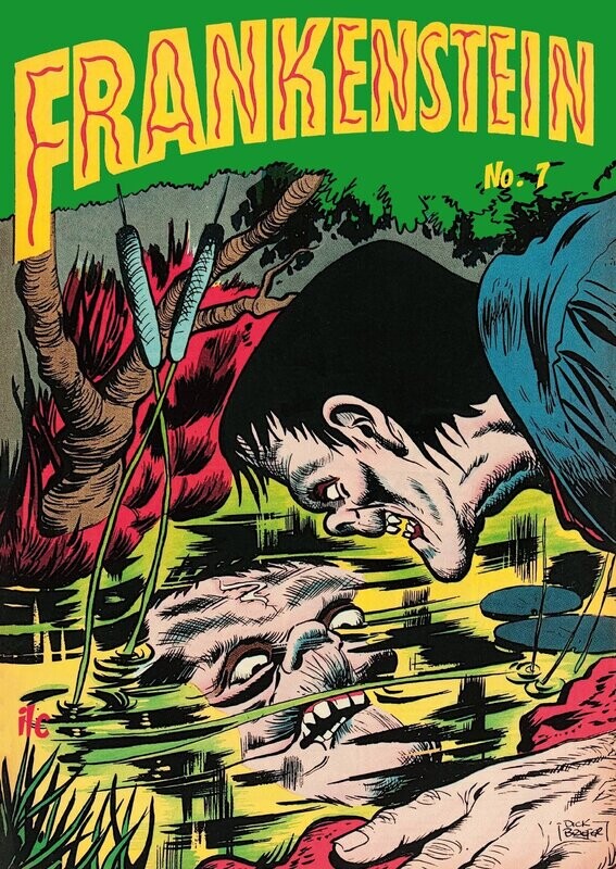 Frankenstein Nr. 7