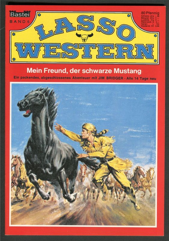 Lasso Western Nr. 6