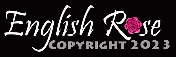 Online Store