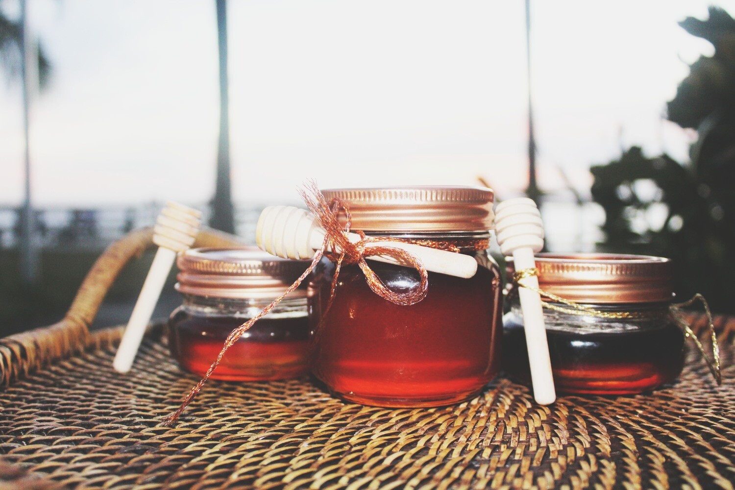 Canna Wildflower Honey 8oz