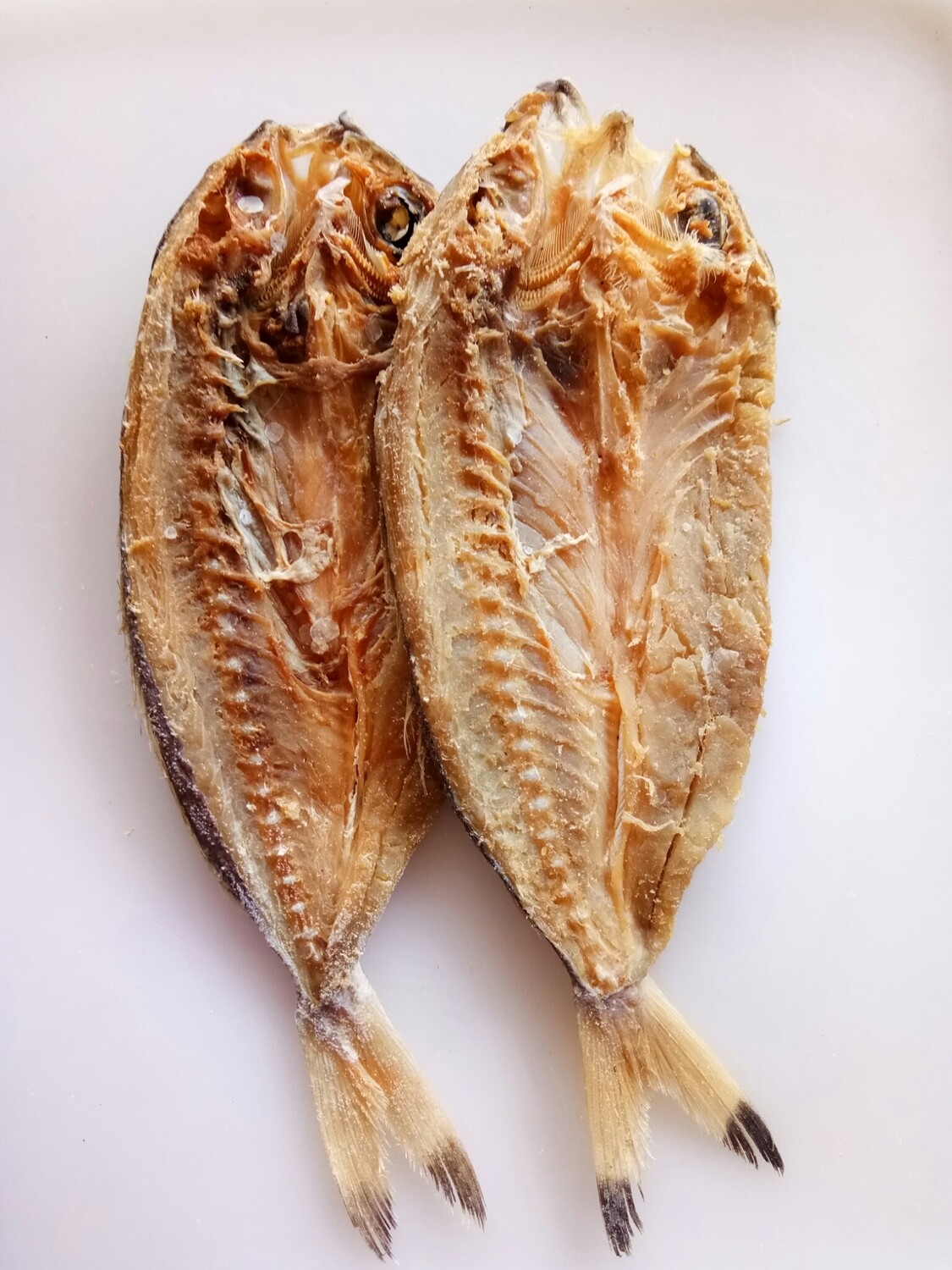 Ikan Anjang