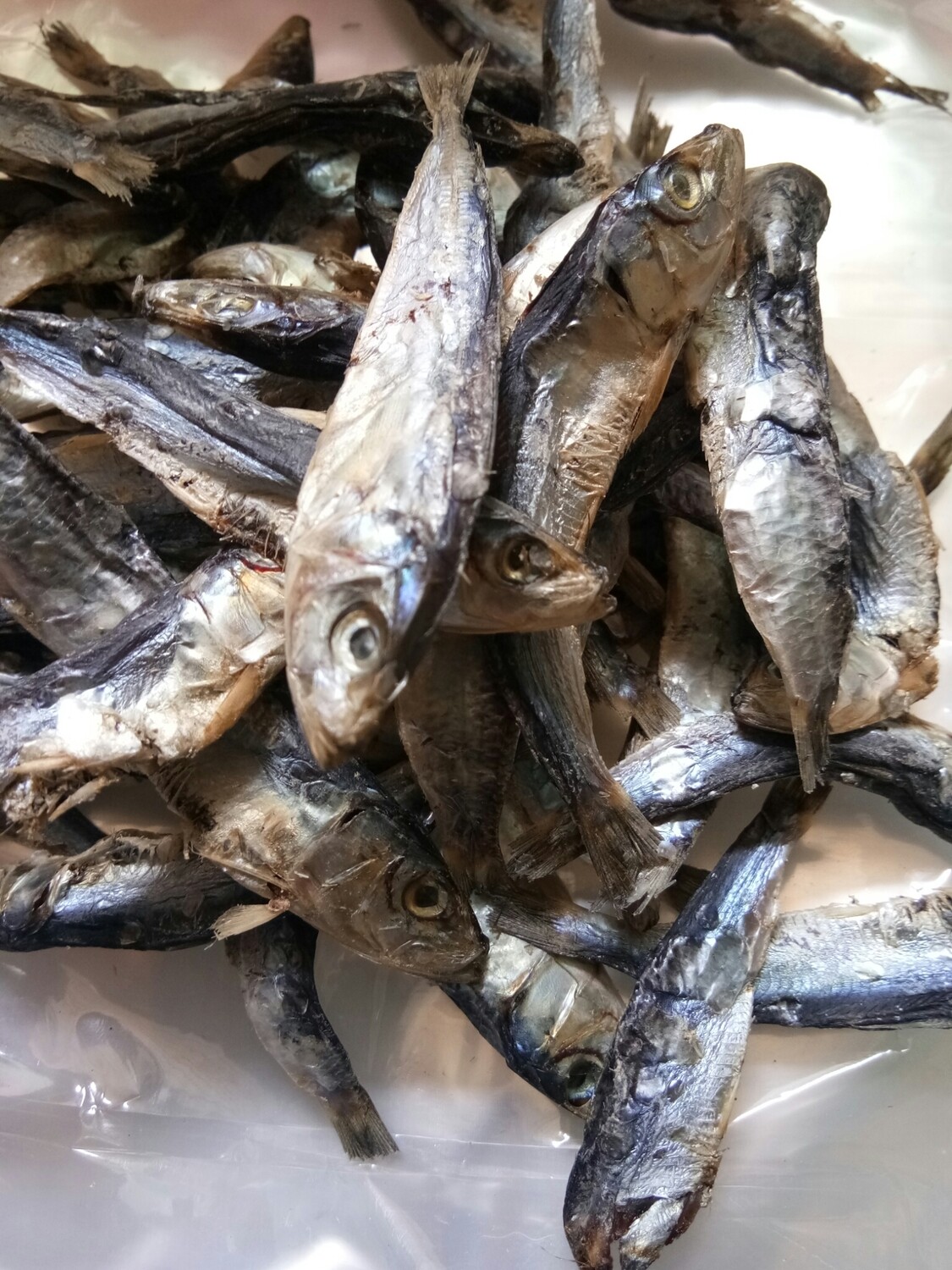 Ikan Bilis Tamban