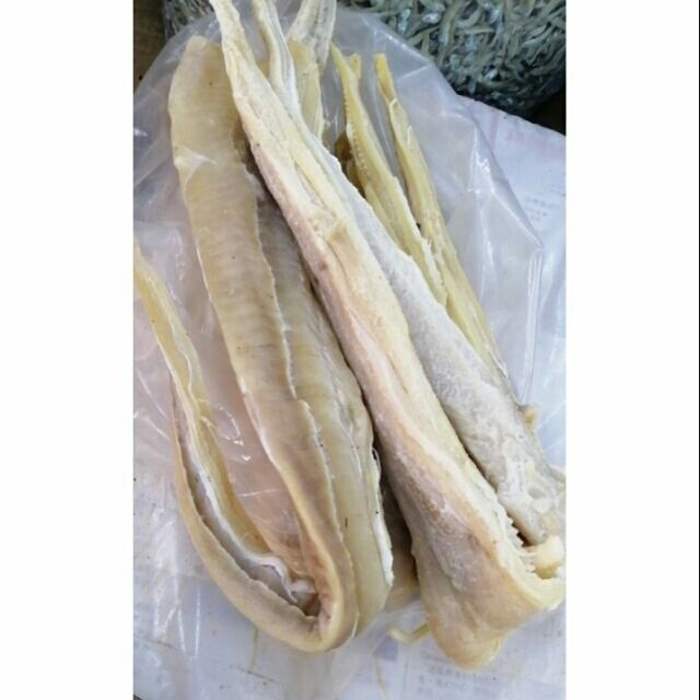 Isi Ikan Yu
