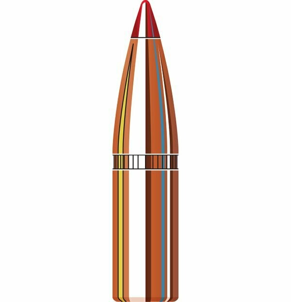 Hornady 6mm 95gr SST 100