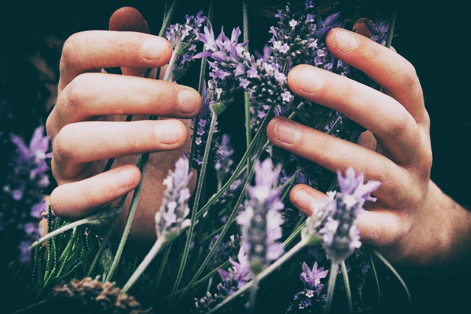 Reiki IIITraining