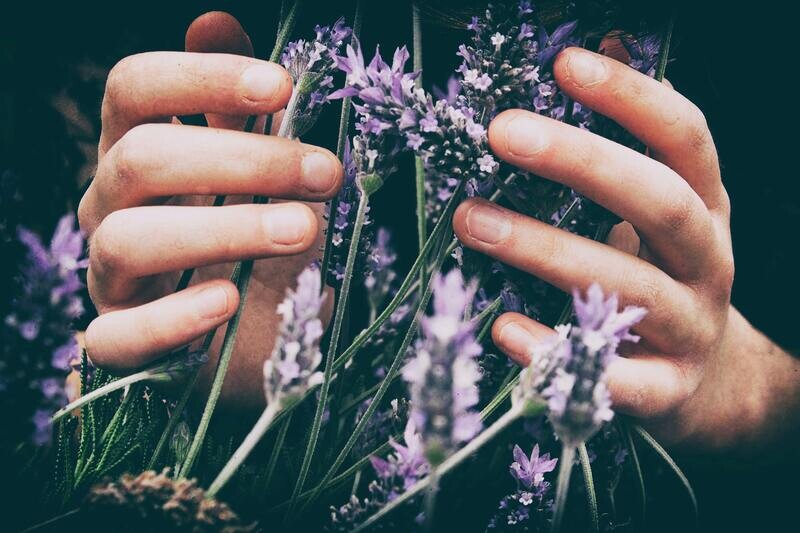 Reiki IIITraining