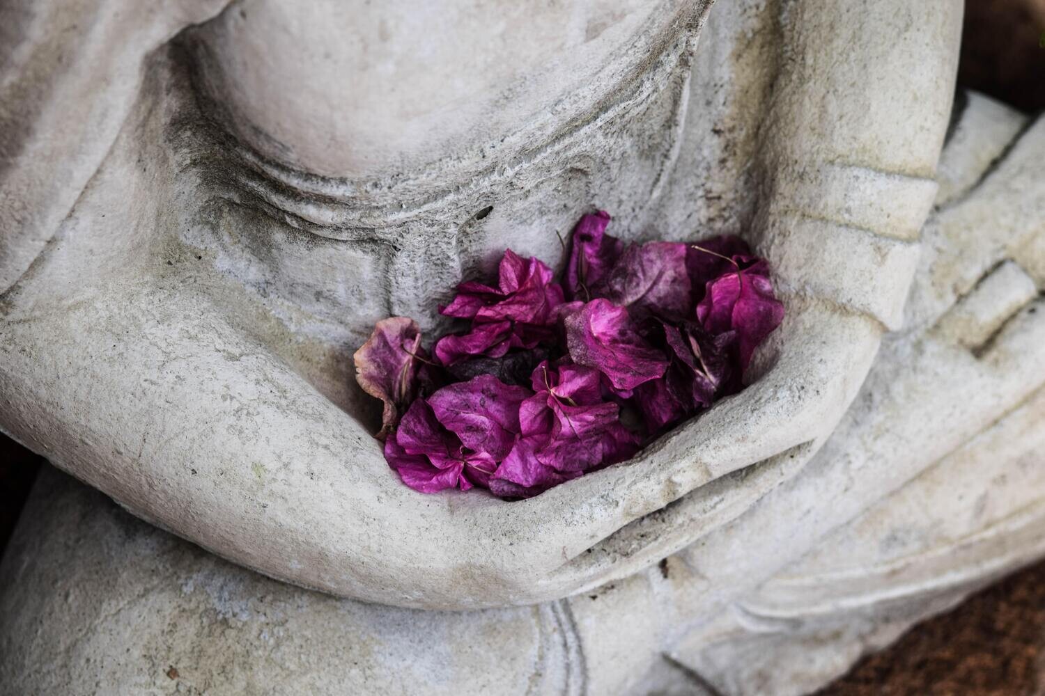 Reiki I Training