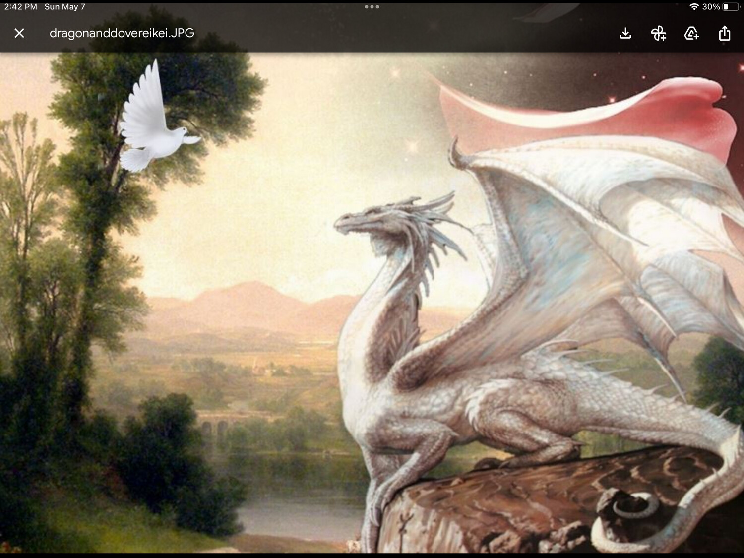 Meet Your Dragon