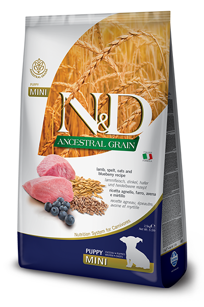Farmina N&D Ancestral Grain Lamb & Blueberry Mini Puppy Dry Dog Food, 5.5-lb
