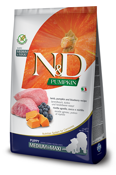 Farmina N&D Pumpkin Lamb & Blueberry Medium & Maxi Puppy Dog Dry Food, 26.4-lb