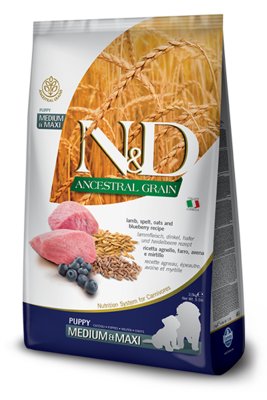 Farmina N&D Ancestral Grain Lamb & Blueberry Medium Puppy Dry Dog Food, 26.4-lb