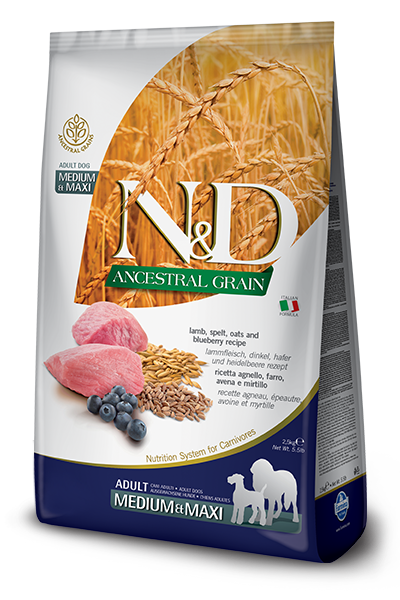 Farmina N&D Ancestral Grain Lamb & Blueberry Medium & Maxi Adult Dry Dog Food, 5.5-lb bag