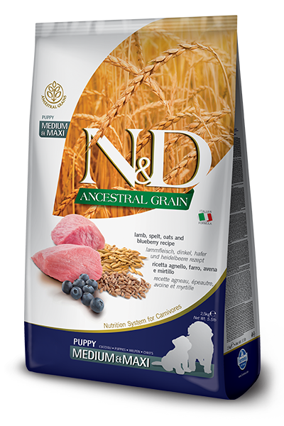 Farmina N&D Ancestral Grain Lamb & Blueberry Medium & Maxi Puppy Dry Dog Food, 5.5-lb