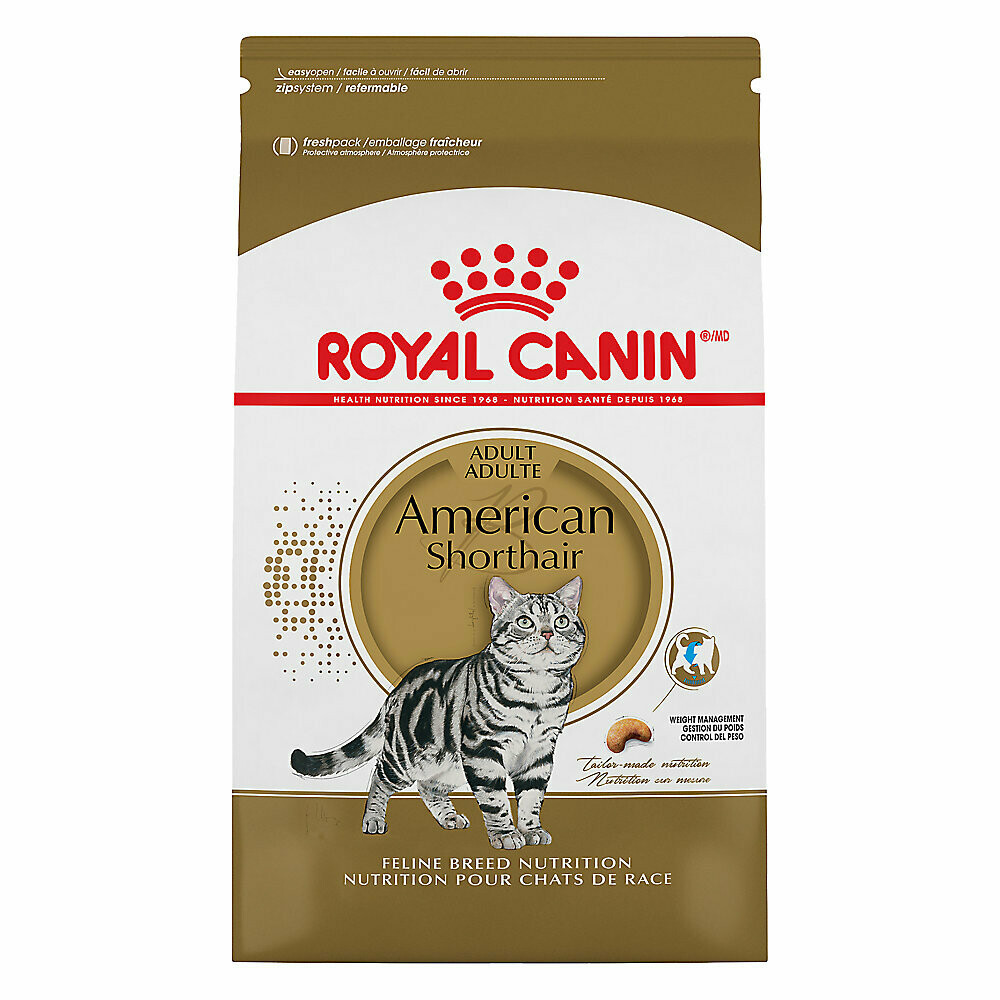 Royal Canin Feline Breed Nutritition American Shorthair Adult Cat Food 5.5LB