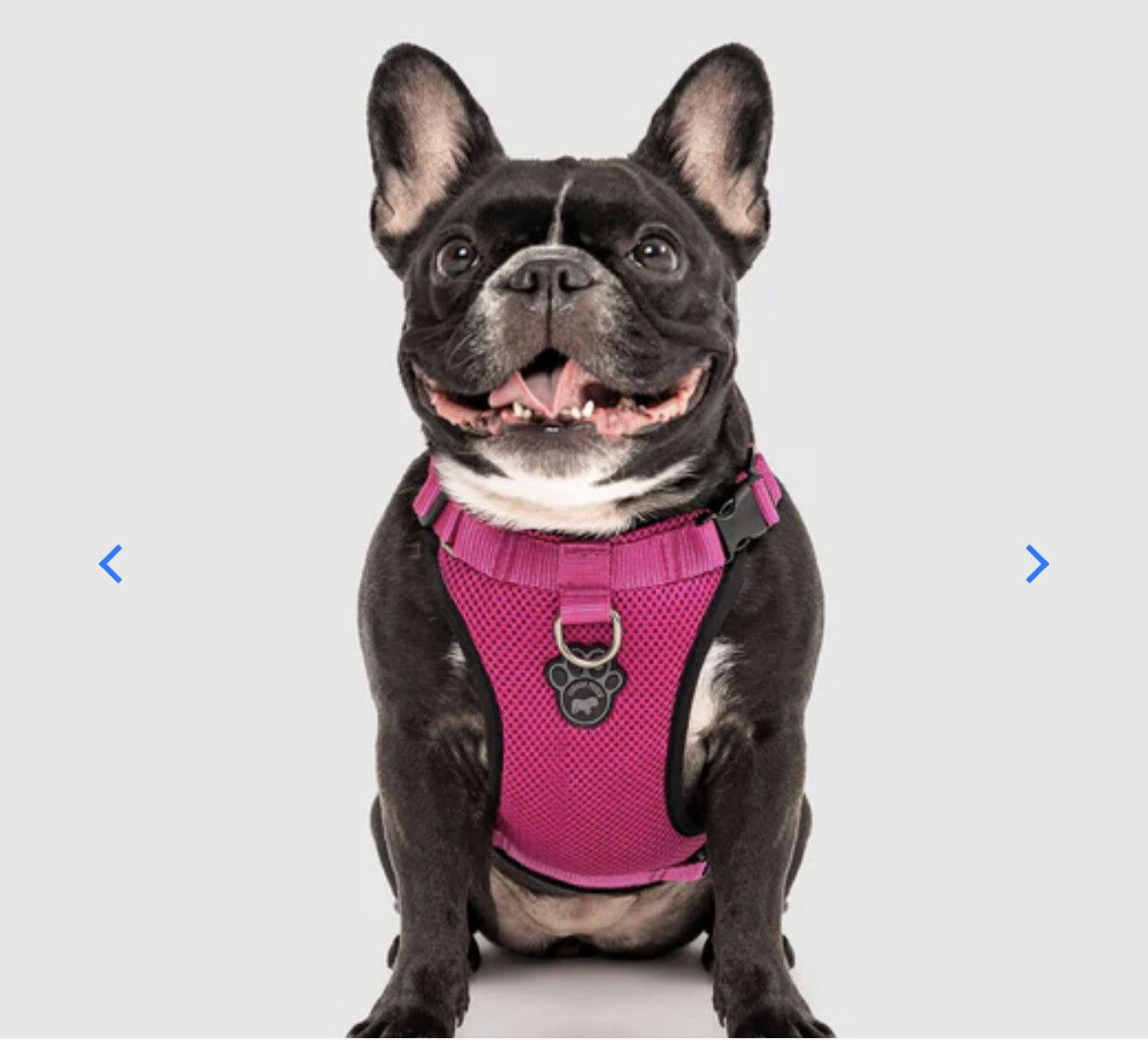 Canada Pooch The Everything Harness Size S