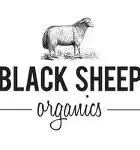 Black Sheep
