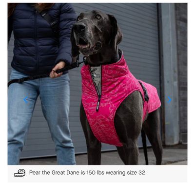 Canada Pooch Expedition Coat 2.0 Pink Reflective Cemo(#14)