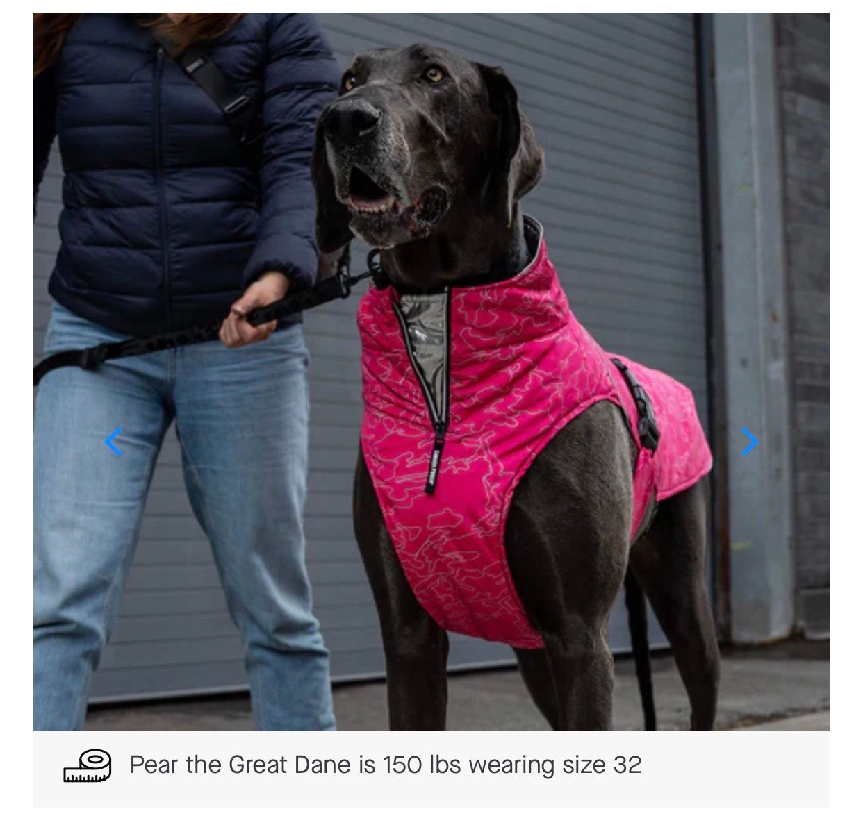 Canada Pooch Expedition Coat 2.0 Pink Reflective Cemo(#16)