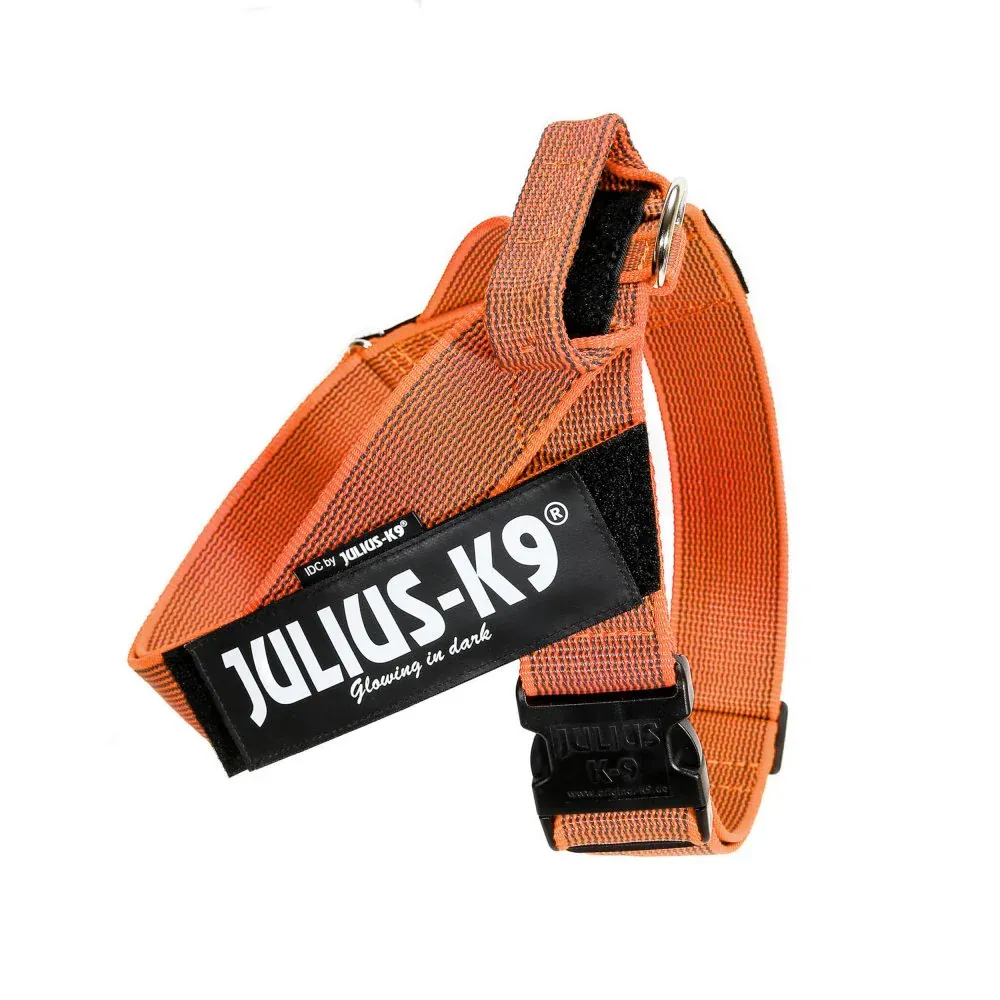 Julius-K9  IDC-Belt Harness Orange (Mini/S)
