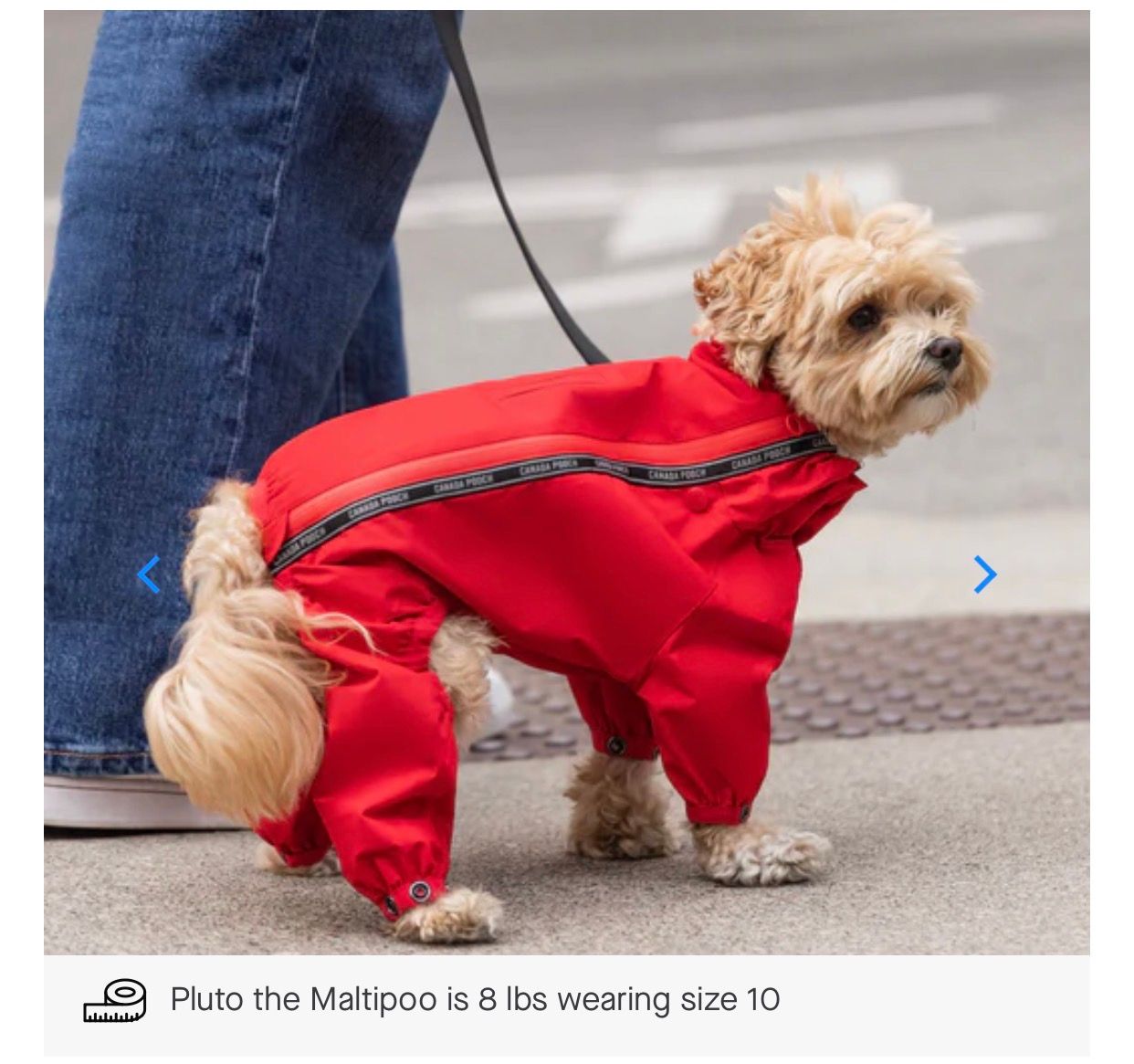 Canada Pooch The Slush Suit Red(#14)