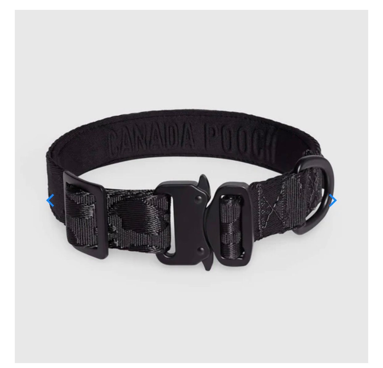 Canada Pooch Ulitity Collar M( Black)