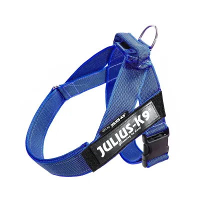 Julius-K9  IDC-Belt Harness Blue (L/1)
