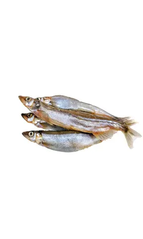 Just Raw Whole Capelin 300g