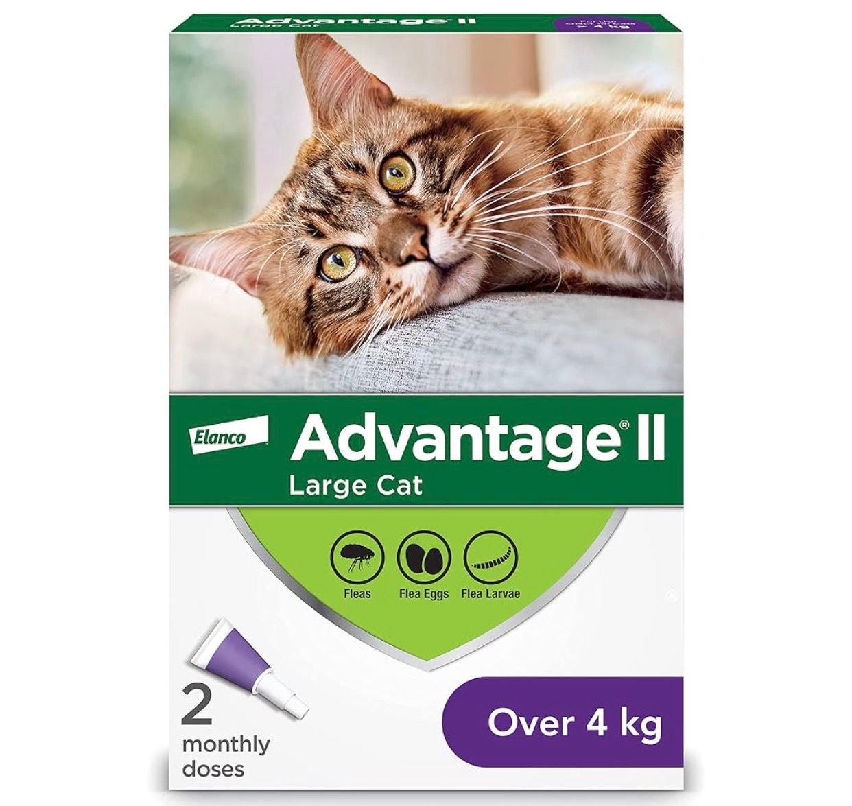 Elanco Advantage Large Cats 2 Doses >4kg