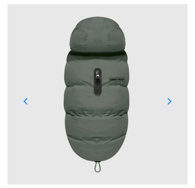 Canada Pooch Waterproof Puffer Army Green Size 14