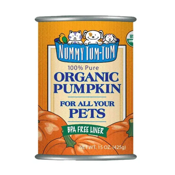 Nummy Tum-Tum Pumpkin 15OZ