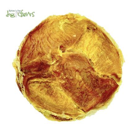 Nature's Own Frisbeef (Flat Bladder)