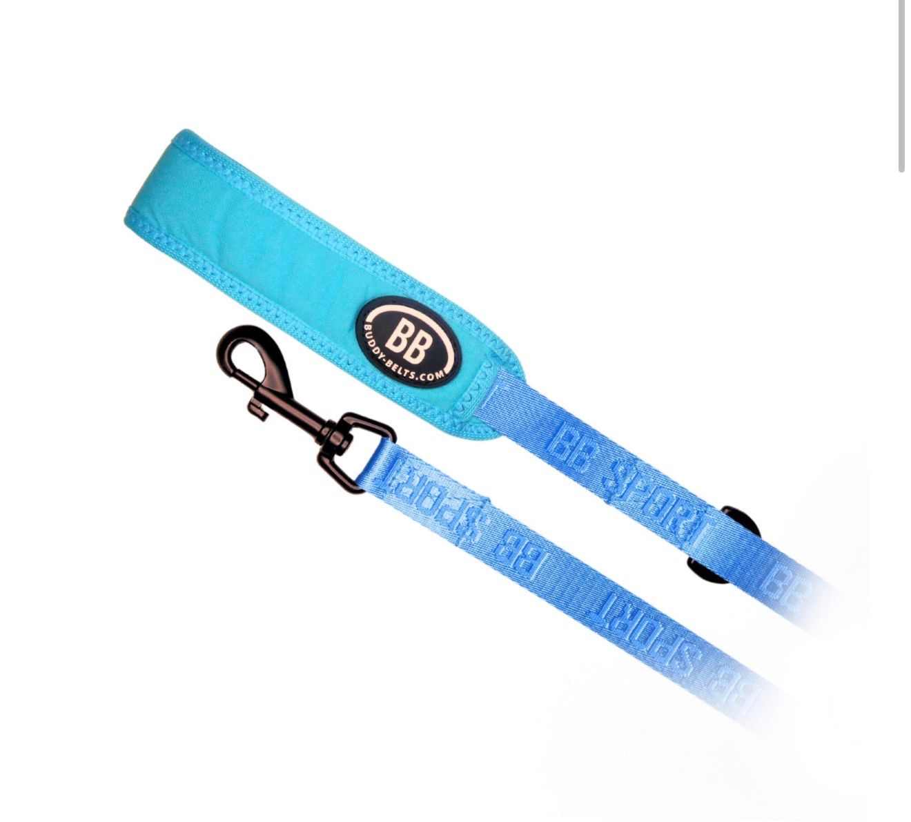 BB Sport Leash 3/4 ×4' Blue