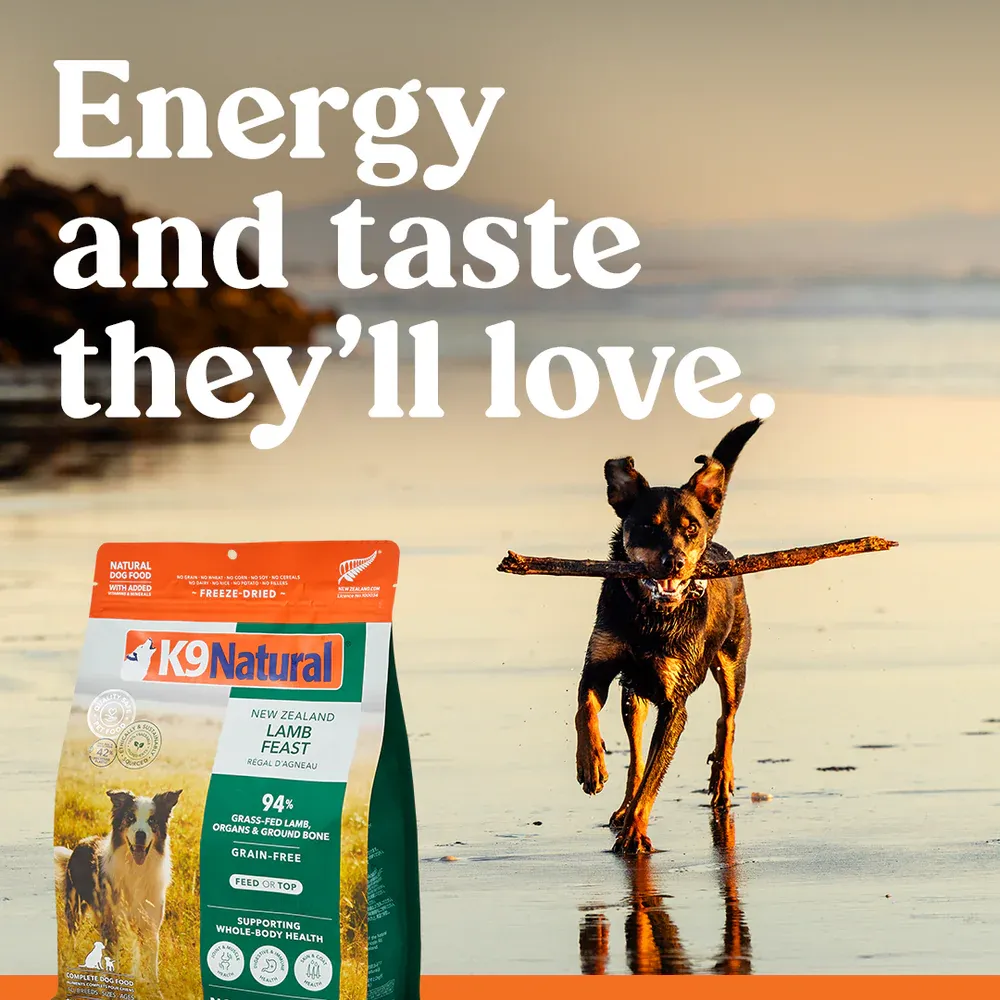 K9 Natural Lamb Feast Freeze Dried 3.6kg