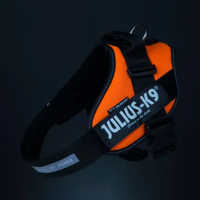 Julius-k9 Harness L/1 Orange