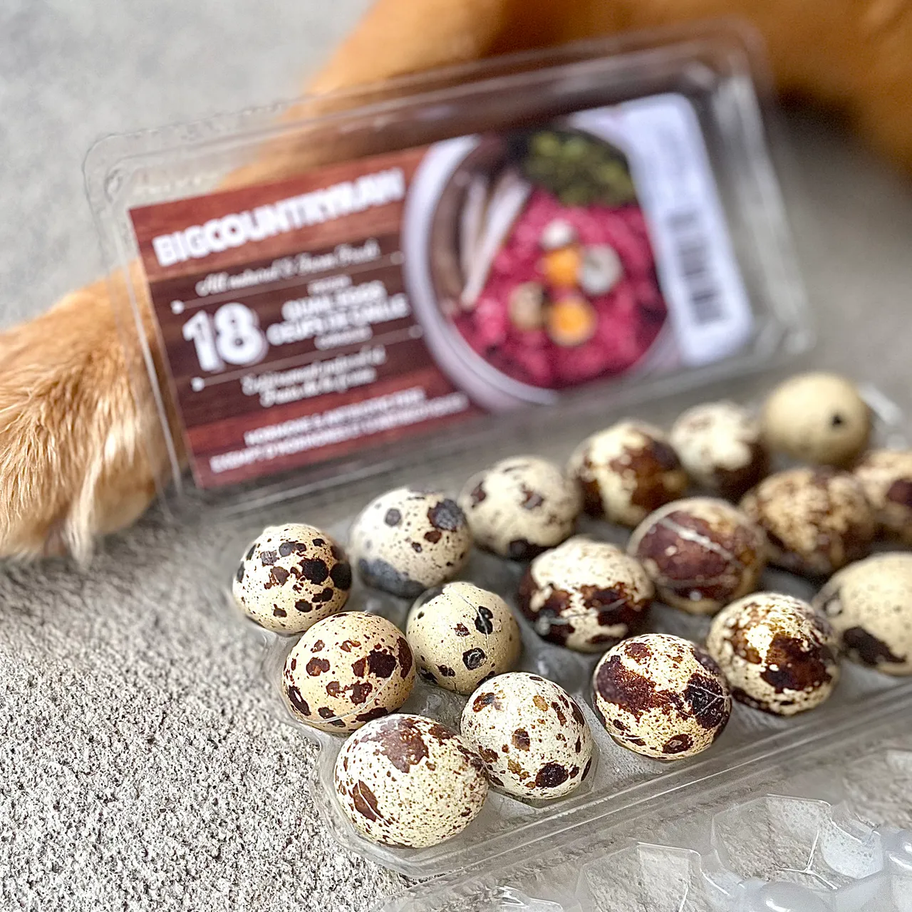 BCR Quail Eggs(frozen) 18 Pk