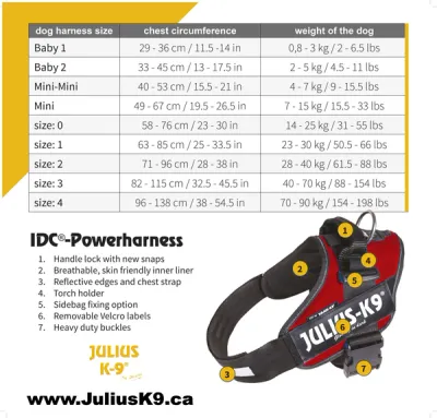 Julius-k9 Harness M/0 Heart