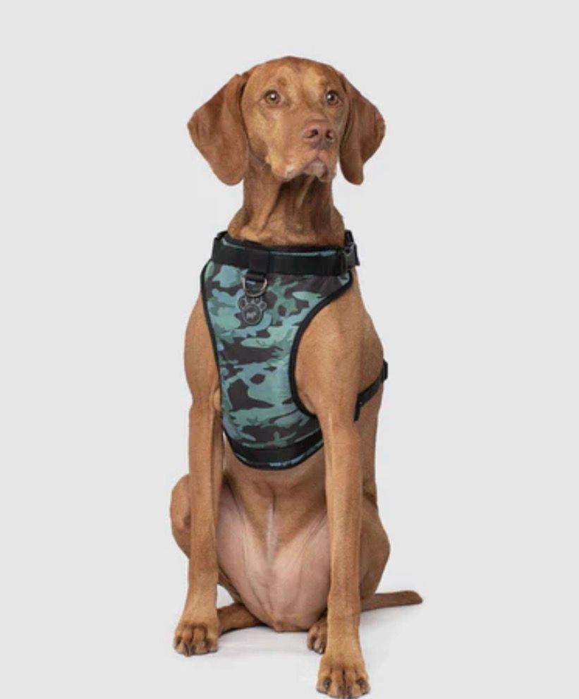 Canada Pooch Everything Harness Camo LG