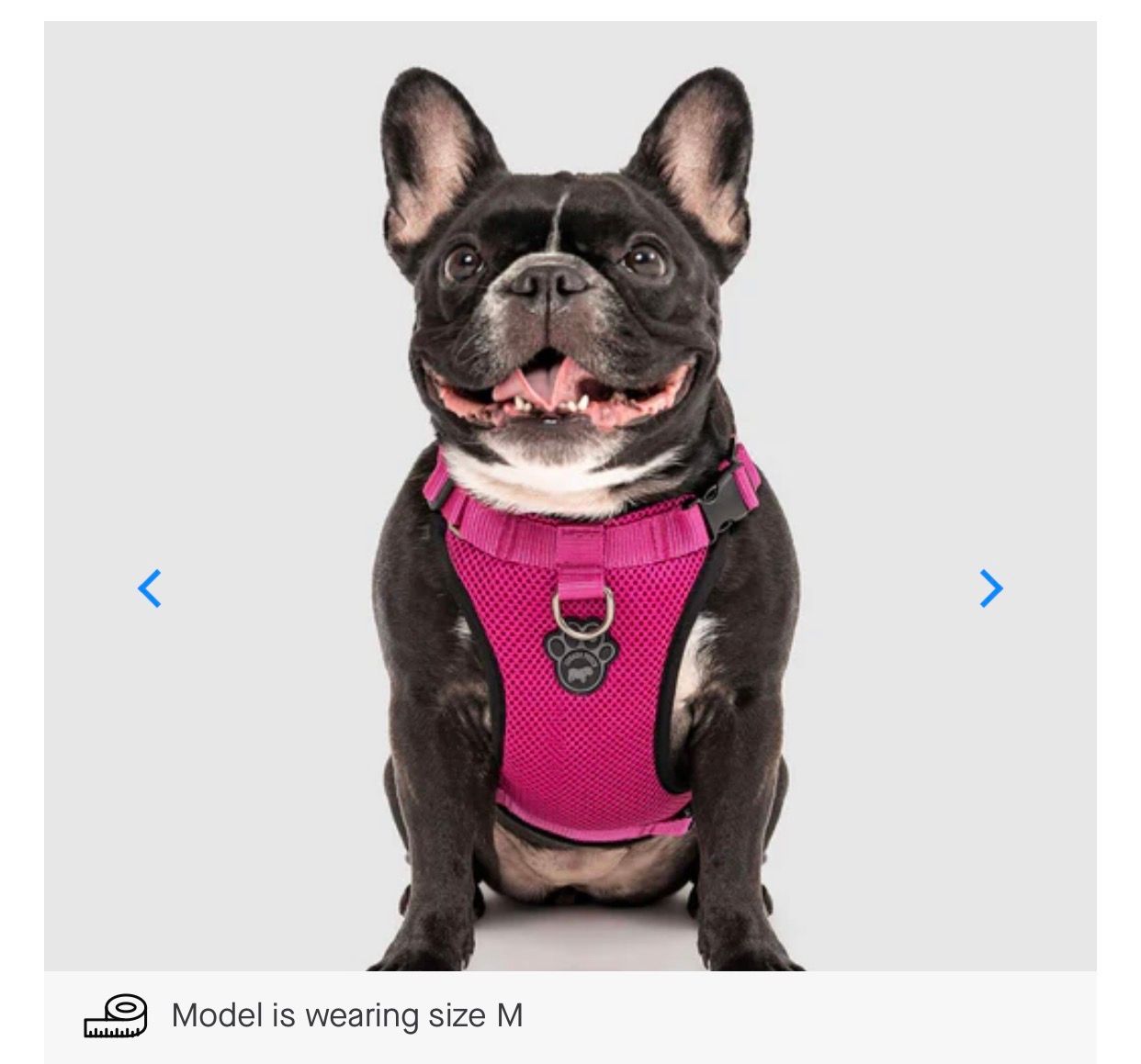 Canada Pooch Everything Harness Pink LG