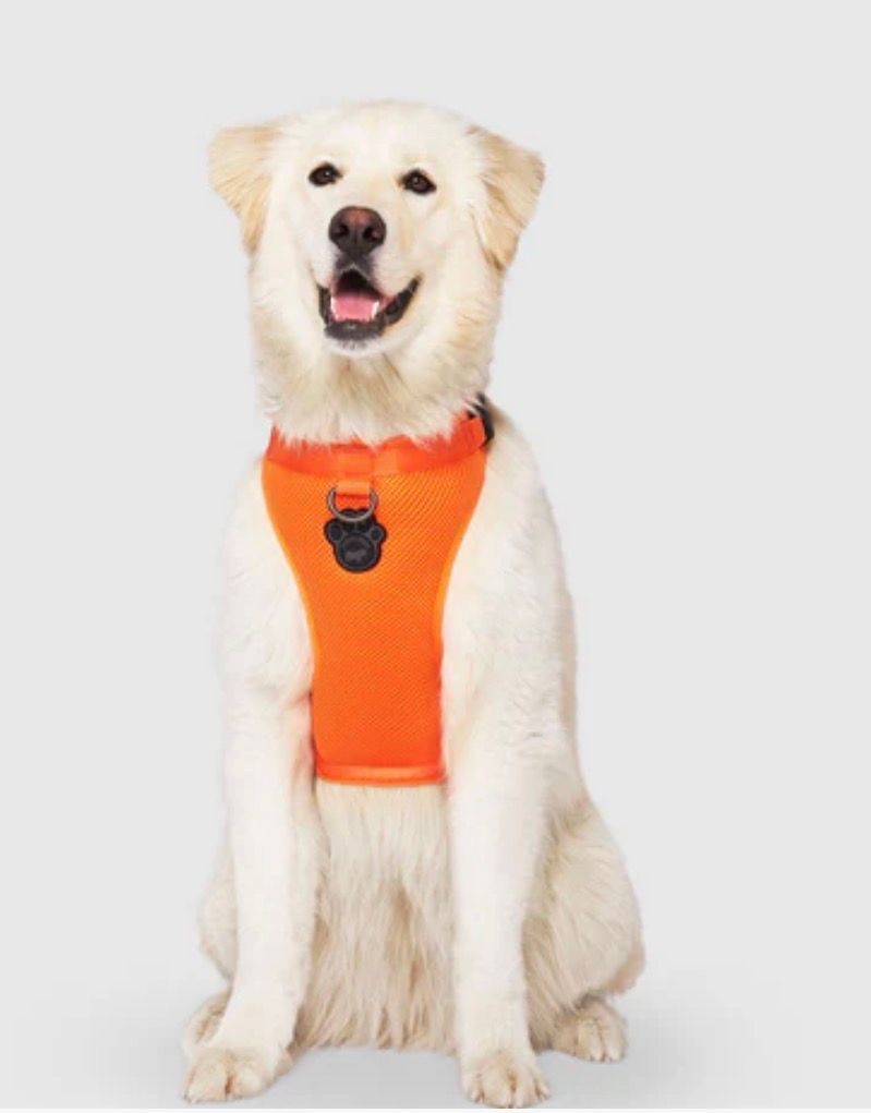 Canada Pooch Everything Harness Orange XL