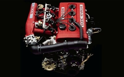 FJ20
