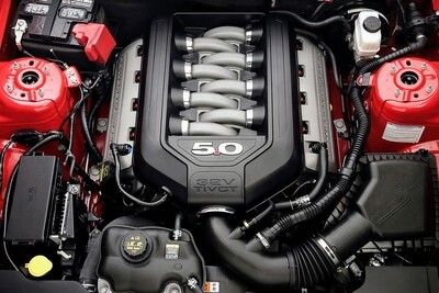 Ford Coyote