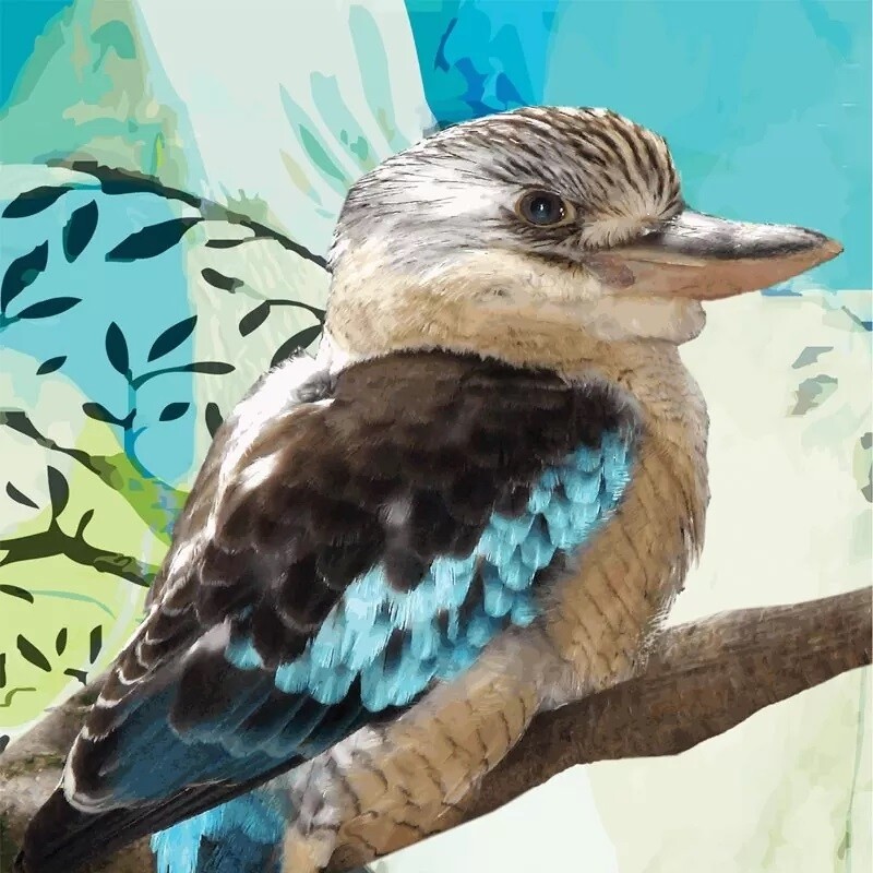 W - Luxury Non Smear Tea Towel - Made in Australia from waste water bottles and fabric offcuts called RPET. They absorb 6 times its weight in moisture - "Kookaburra"