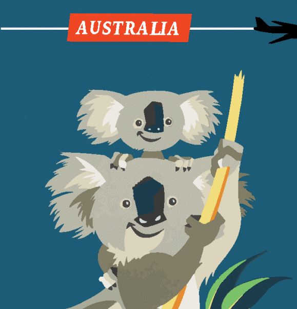 W - Luxury Non Smear Tea Towel - Made in Australia from waste water bottles and fabric offcuts called RPET. They absorb 6 times its weight in moisture - "Koala"