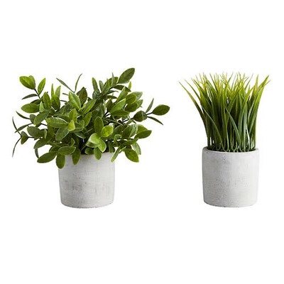 Artificial Plants Set - Cement Pot - Bush