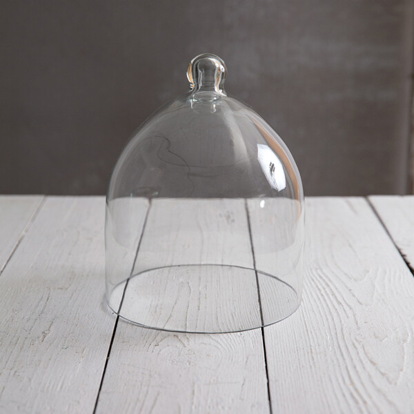 Small Glass Bell Shaped Cloche