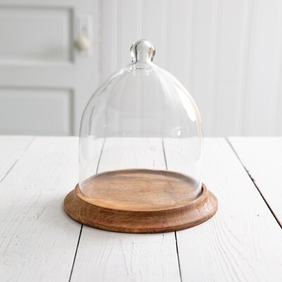 Small Glass Bell Shaped Cloche with Wood Base