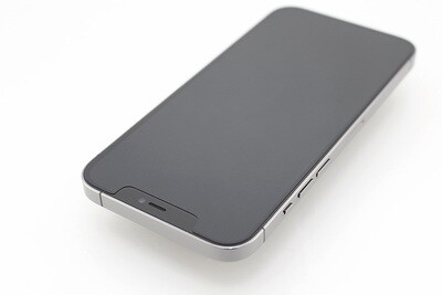Final Protection für iPhone 12 Pro Max