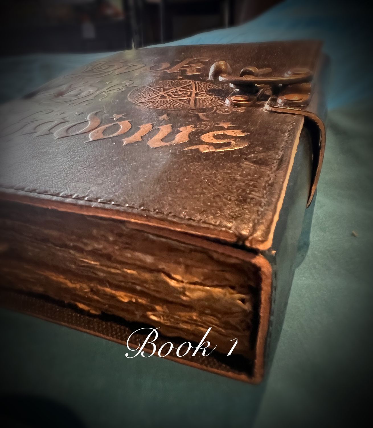 Book Shelf - Book of Shadows